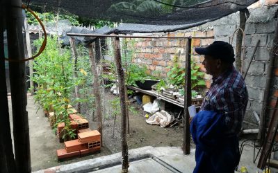 AMBALEMA APUESTA A LA AGRICULTURA URBANA