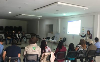 TALLER DE RESOLUCIÓN DE CONFLICTOS